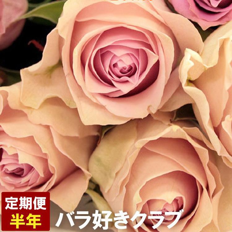 190円 73 以上節約 花 定期便 バラ好きクラブ 半年6回分 生花 ギフト 誕生日 プレゼント 女性 母 結婚祝い 結婚記念日 還暦祝い 退職祝い お祝い
