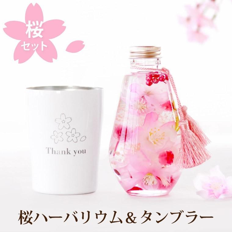 誕生日 花 プレゼント 桜 ハーバリウム タンブラー セット お花 宅配 定年 退職祝い 母 還暦祝い 秋ギフト 女性 40代 50代 60代 70代 Set Hrb 03 横浜花まりかフラワーギフト専門店 通販 Yahoo ショッピング
