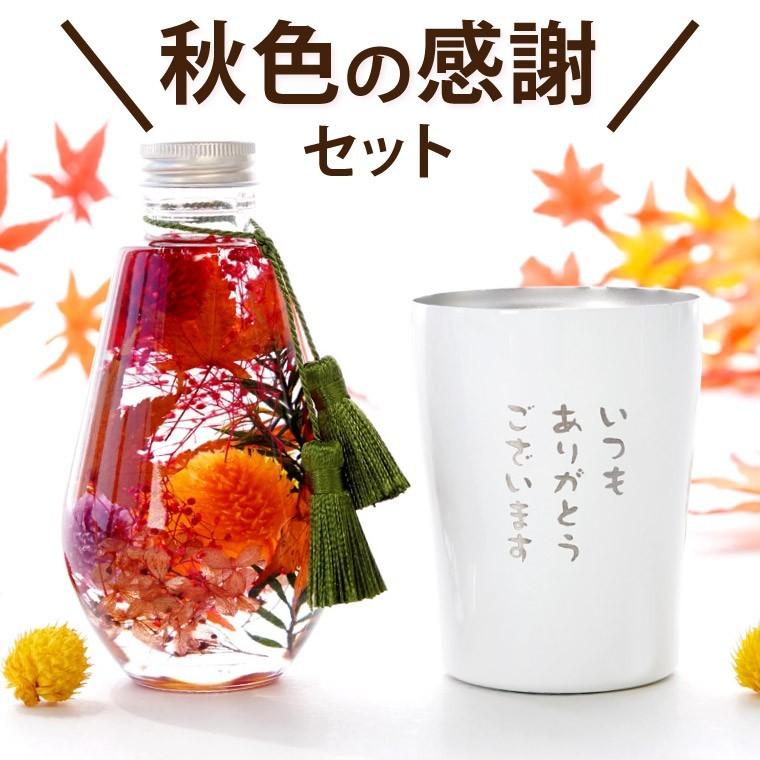 花 ギフト 紅葉 ハーバリウム タンブラー セット もみじ お花 プリザーブドフラワー 誕生日 プレゼント 女性 母 40代 50代 60代 母の日 Set Hrb 07 横浜花まりかフラワーギフト専門店 通販 Yahoo ショッピング