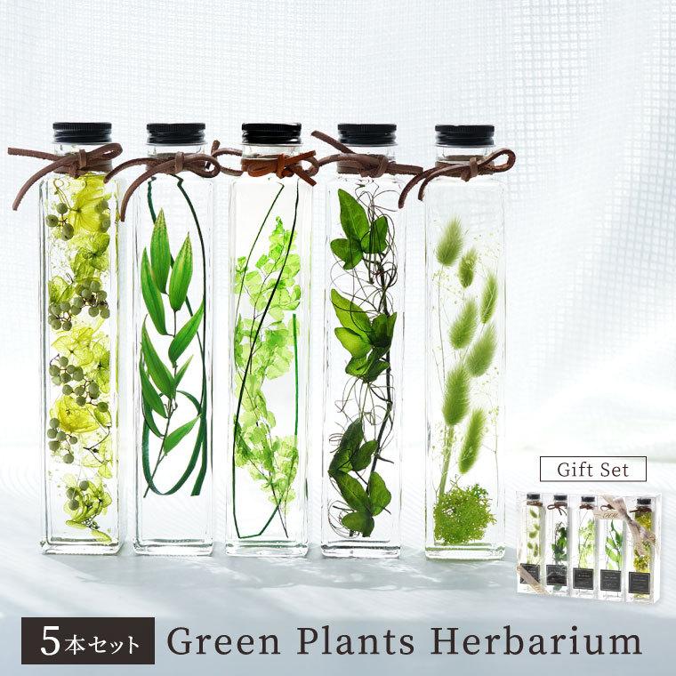 花 誕生日 プレゼント グリーン プランツ ハーバリウム 5本 セット