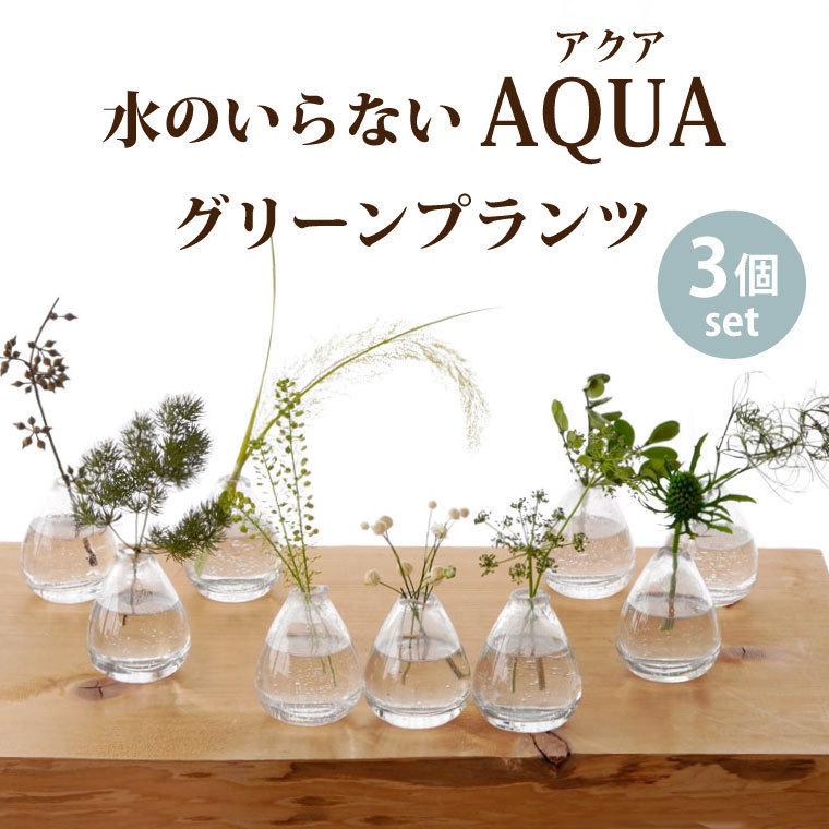 観葉植物 おしゃれ 水のいらない Aqua グリーン プランツ 3個 セット 花 プリザーブドフラワー インテリア 退職 プレゼント Set Prs 04 横浜花まりかフラワーギフト専門店 通販 Yahoo ショッピング