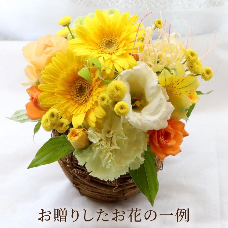 お悔やみ 花 定期便 ペット 虹の橋 あの子 月命日 12か月 ふわふわ コース お供え 生花 供花 アレンジメント 枕花 犬 猫 一周忌 法要 Sik 12 横浜花まりかフラワーギフト専門店 通販 Yahoo ショッピング