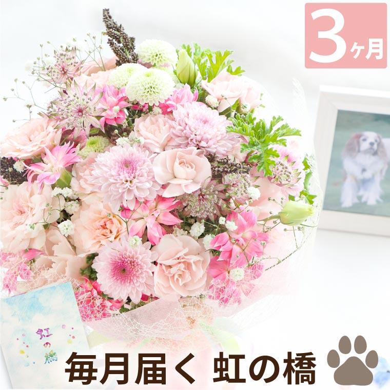 ペット お供え お悔やみ花 虹の橋 定期便 もふもふコース 3か月