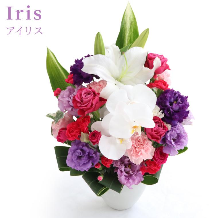 胡蝶蘭 お祝い 花 プレゼント 胡蝶蘭のセレブレートアレンジ 生花
