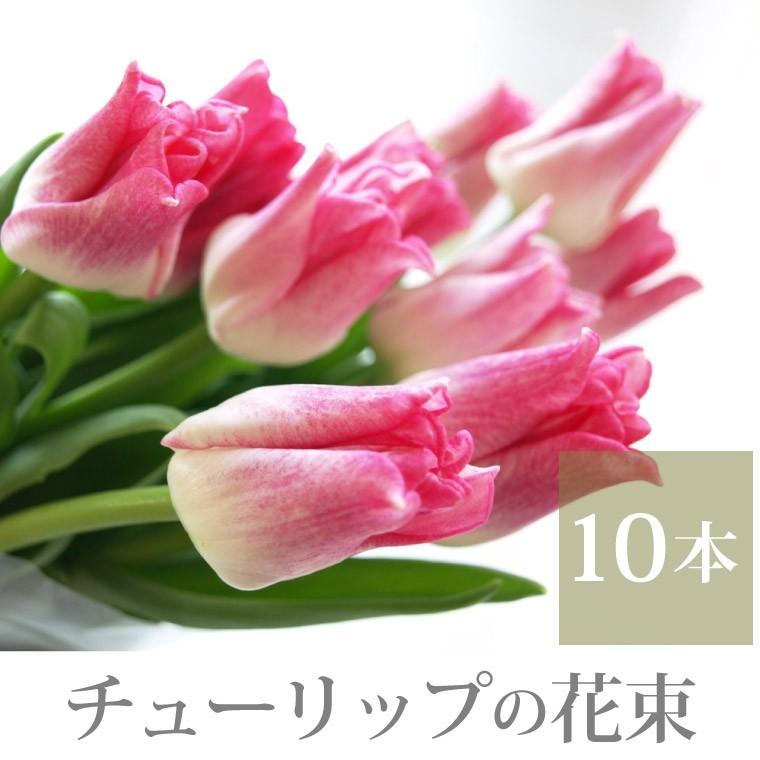7日前予約品 花 プレゼント 誕生日 チューリップ 花束 10本 生花 ギフト 送別会 女性 定年 退職 母 祖母 卒業 合格 祝い 結婚記念日 Tulip 08 横浜花まりかフラワーギフト専門店 通販 Yahoo ショッピング