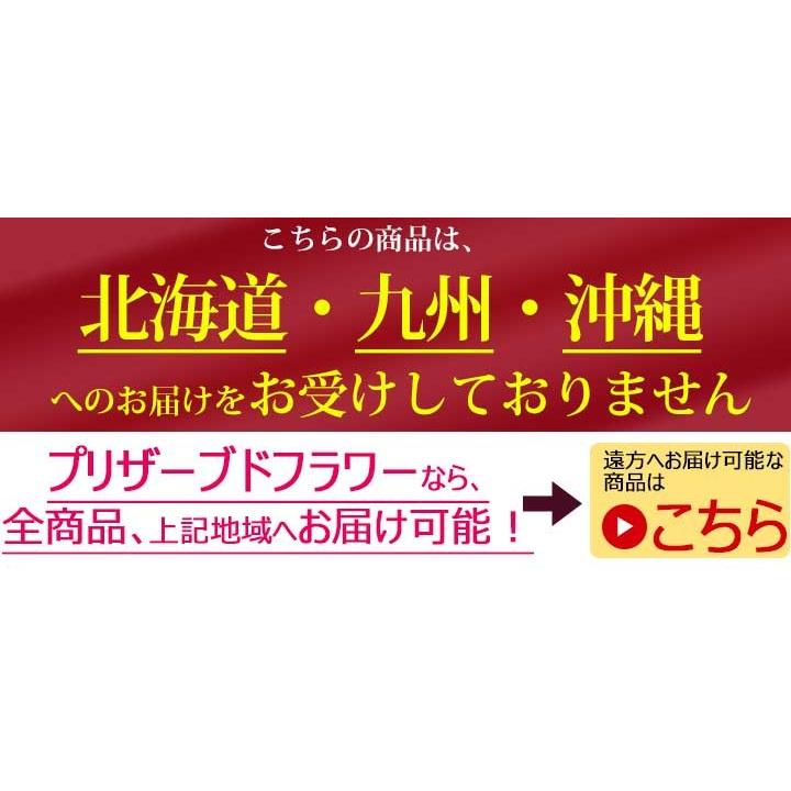 お正月の花 祝宴 生花 新年の花 年始 お歳暮 新年 生花 正月アレンジメント 新年の挨拶 お正月アレンジ Znew 09 横浜花まりかフラワーギフト専門店 通販 Yahoo ショッピング