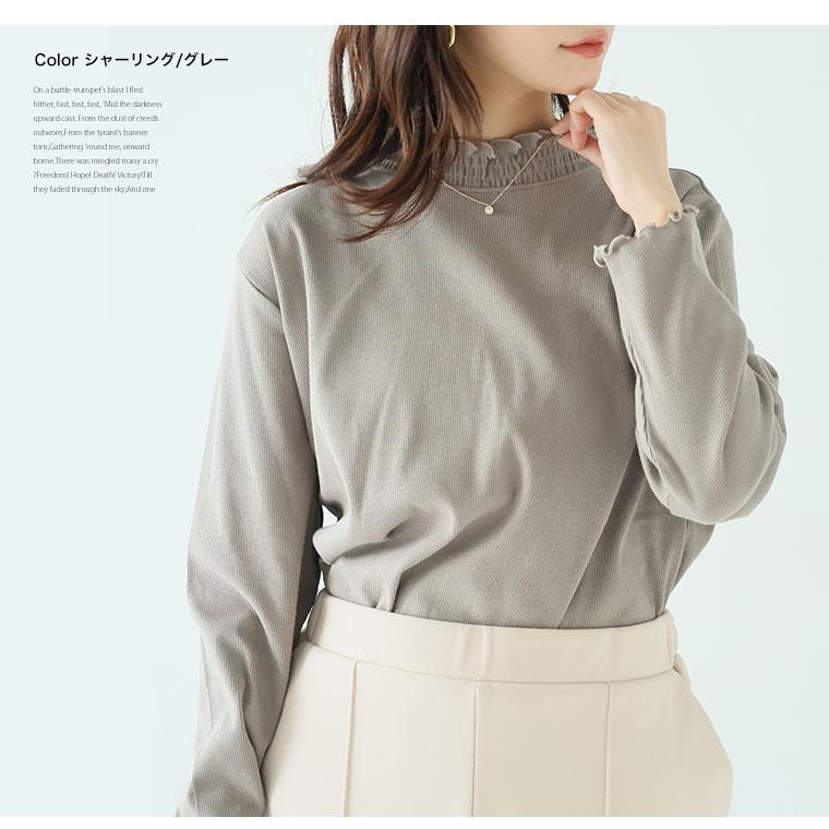 大きいサイズ レディース トップス スゴっ 裏技 首元苦しくない 選べるネック リブ トップス 抗菌防臭 トップス プルオーバー LL 3L 4L 5L 6L 長袖 A |  | 16