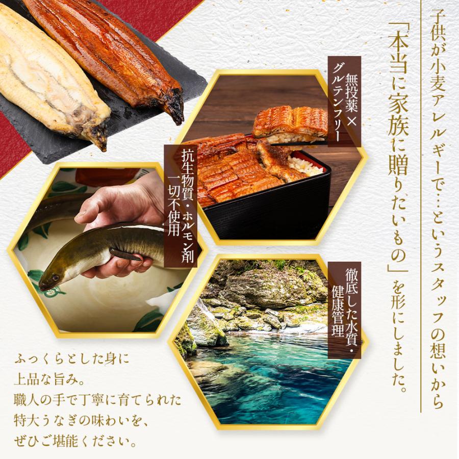 国産 無投薬うなぎ白焼き 超特大 約250g×4本 グルテンフリーのたれ プレゼント ギフト 誕生日 お祝い 贈答