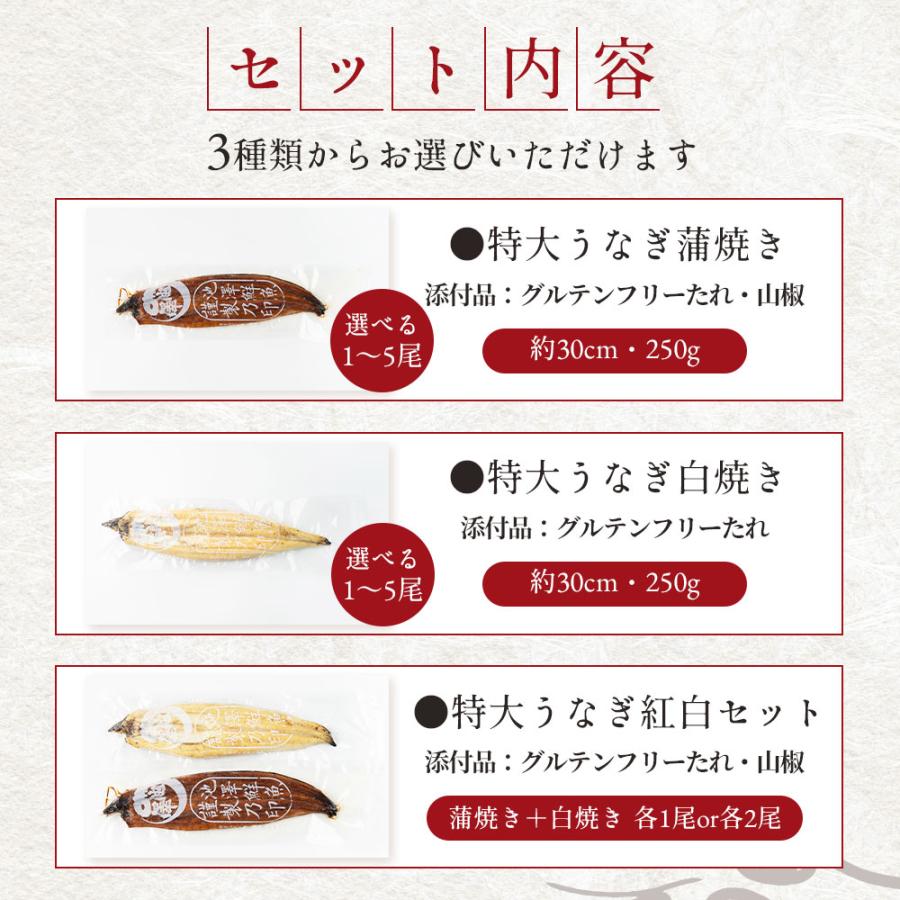 国産 無投薬うなぎ白焼き 超特大 約250g×4本 グルテンフリーのたれ プレゼント ギフト 誕生日 お祝い 贈答