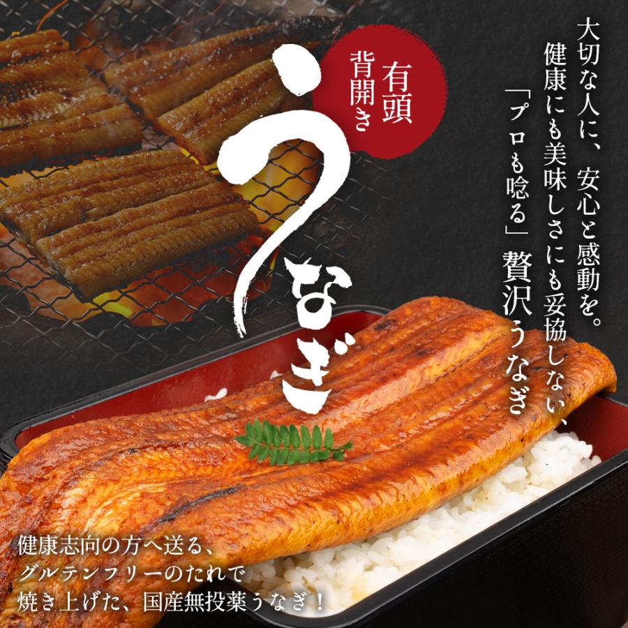 国産 無投薬うなぎ白焼き 超特大 約250g×4本 グルテンフリーのたれ プレゼント ギフト 誕生日 お祝い 贈答