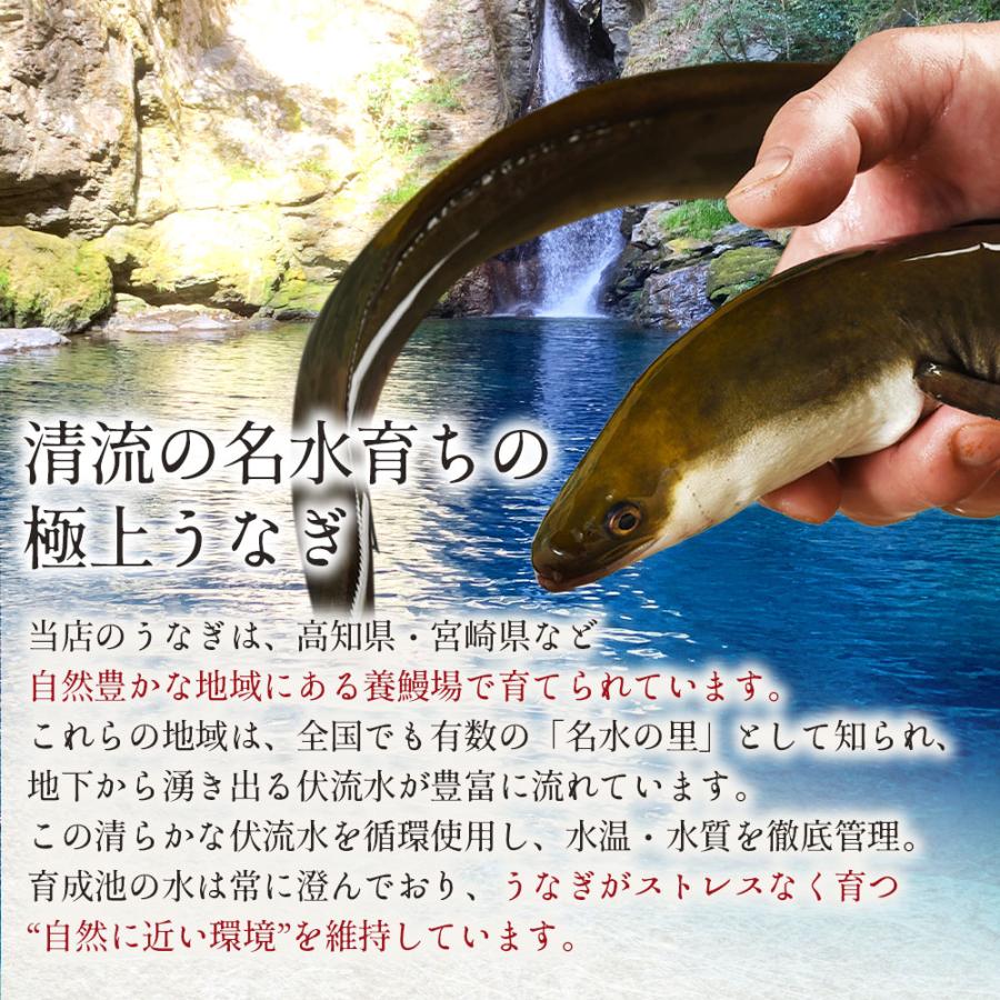 国産 無投薬うなぎ白焼き 超特大 約250g×4本 グルテンフリーのたれ プレゼント ギフト 誕生日 お祝い 贈答