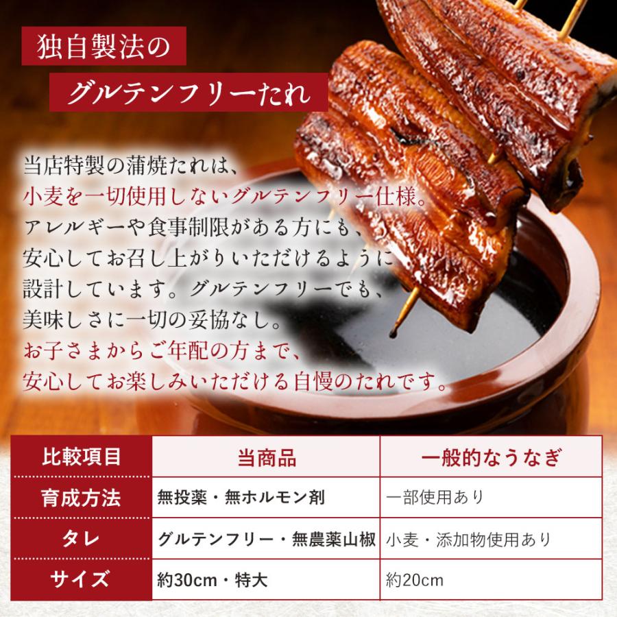 国産 無投薬うなぎ白焼き 超特大 約250g×4本 グルテンフリーのたれ プレゼント ギフト 誕生日 お祝い 贈答