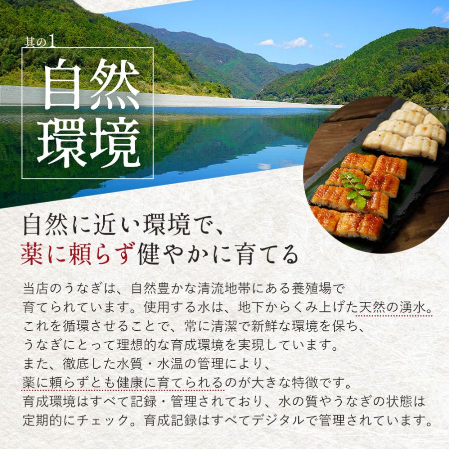 国産 無投薬うなぎ白焼き 超特大 約250g×4本 グルテンフリーのたれ プレゼント ギフト 誕生日 お祝い 贈答