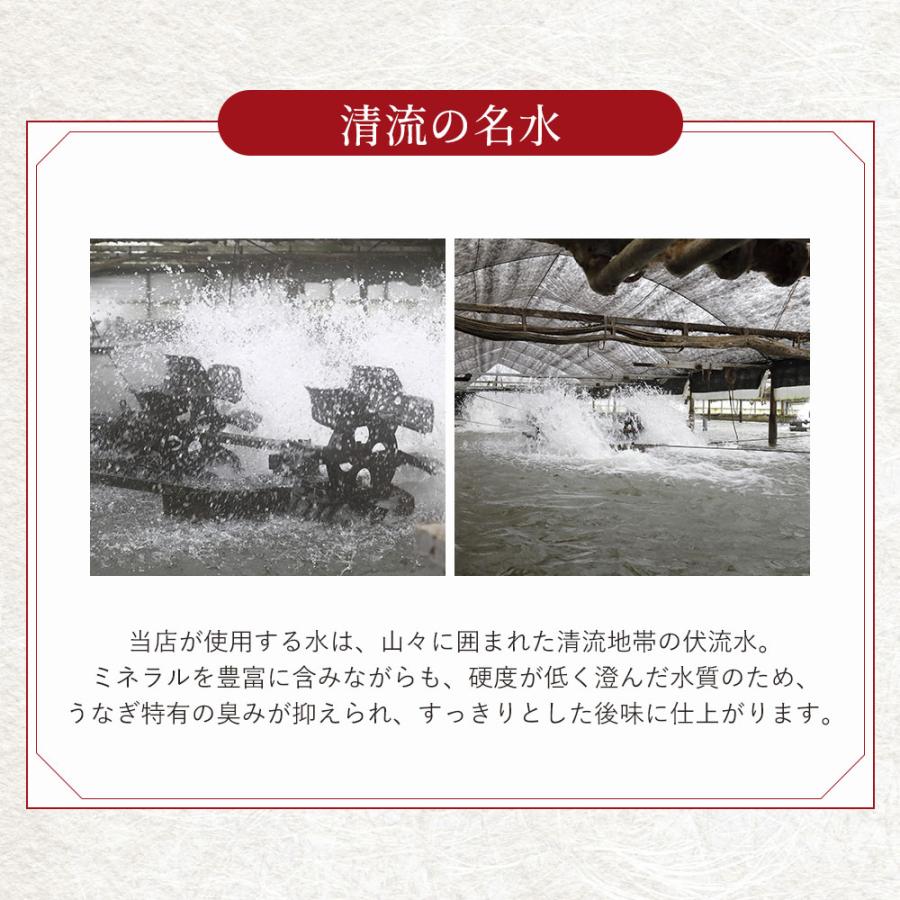 国産 無投薬うなぎ白焼き 超特大 約250g×4本 グルテンフリーのたれ プレゼント ギフト 誕生日 お祝い 贈答