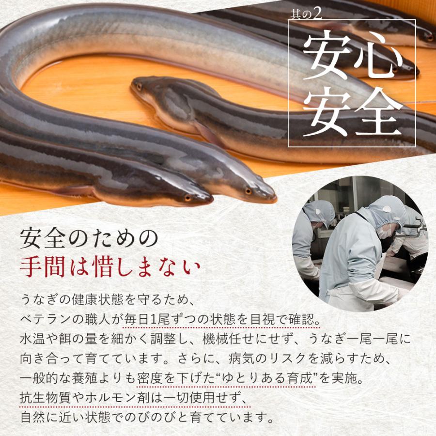 国産 無投薬うなぎ白焼き 超特大 約250g×4本 グルテンフリーのたれ プレゼント ギフト 誕生日 お祝い 贈答