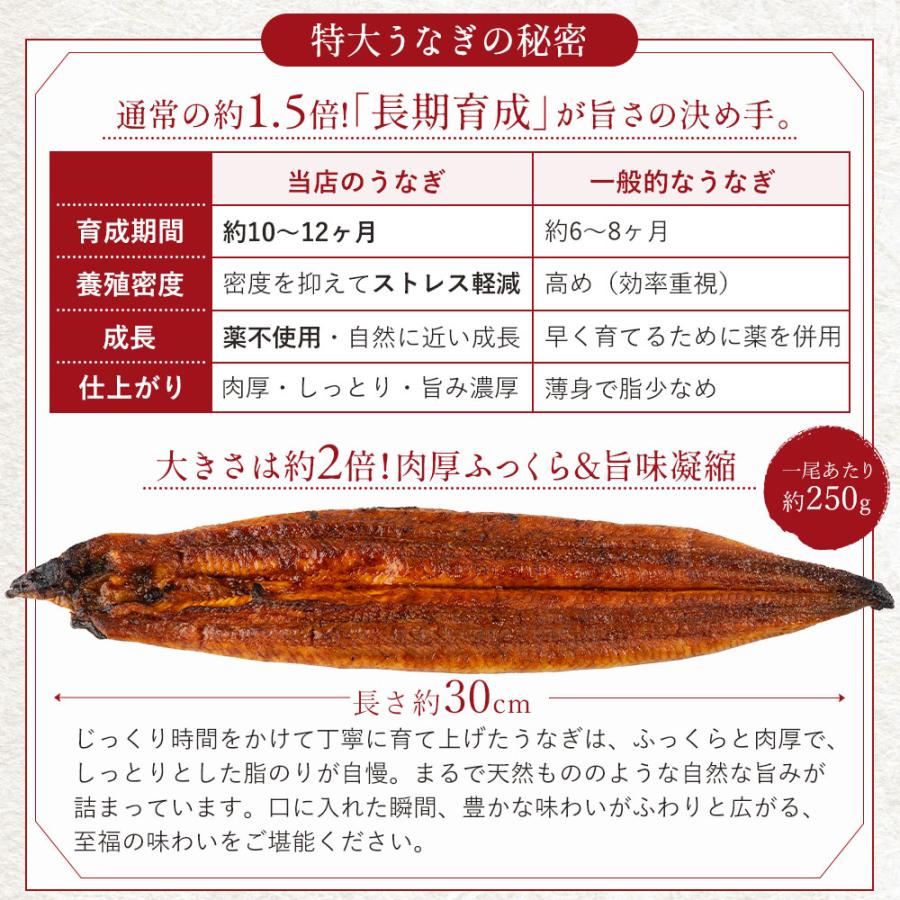 国産 無投薬うなぎ白焼き 超特大 約250g×4本 グルテンフリーのたれ プレゼント ギフト 誕生日 お祝い 贈答