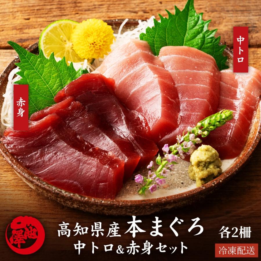 本まぐろ 高知県産 中トロ 赤身 2種食べ比べセット 各2個 本マグロ 鮪