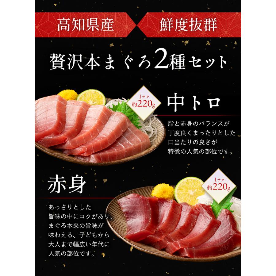 本まぐろ 高知県産 中トロ 赤身 2種食べ比べセット 各2個 本マグロ 鮪