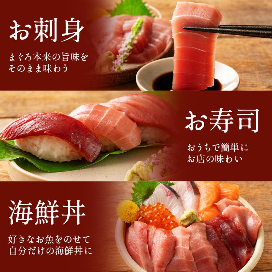 本まぐろ 高知県産 中トロ 赤身 2種食べ比べセット 各1個 本マグロ 鮪