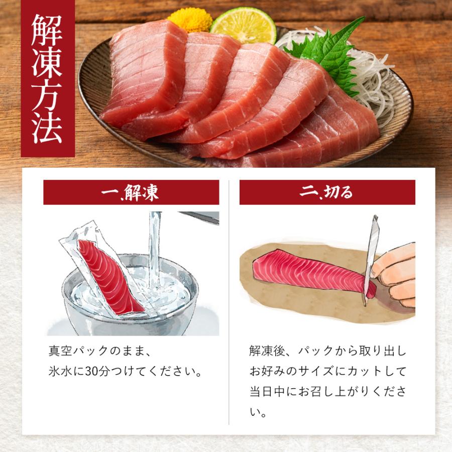 本まぐろ 高知県産 中トロ 赤身 2種食べ比べセット 各1個 本マグロ 鮪