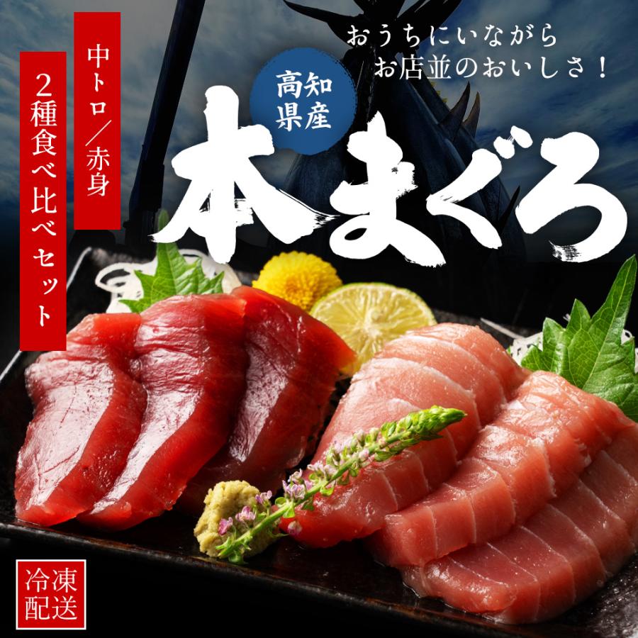 本まぐろ 高知県産 中トロ 赤身 2種食べ比べセット 各1個 本マグロ 鮪