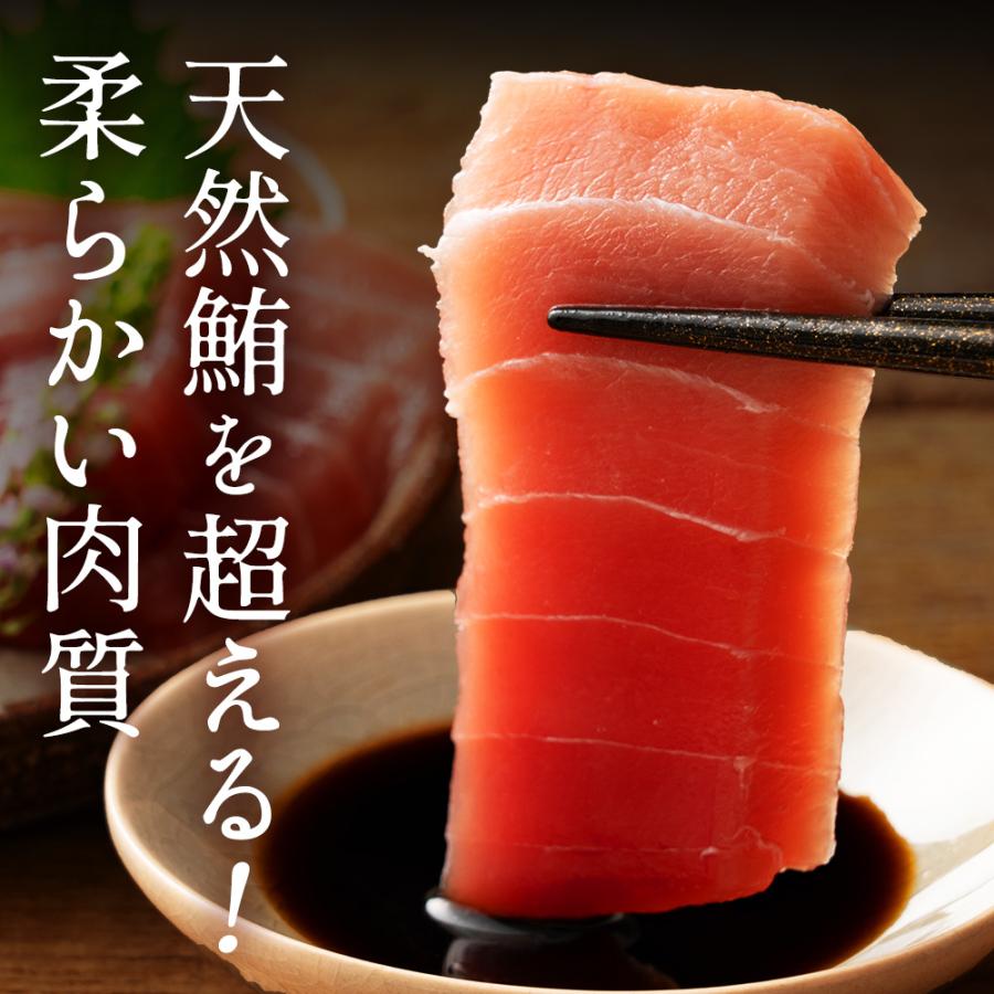 本まぐろ 高知県産 中トロ 赤身 2種食べ比べセット 各1個 本マグロ 鮪