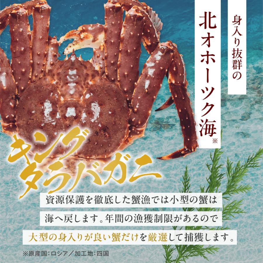 超特大 生タラバ蟹 3kg 1肩半-2肩入 本たらばがに 10L以上 カニ鍋 焼き
