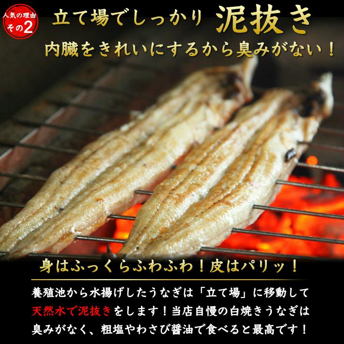 国産 蒲焼き 特大うなぎ メガ盛り ハーフカット 600gセット 6〜8人前｜marin-online｜11