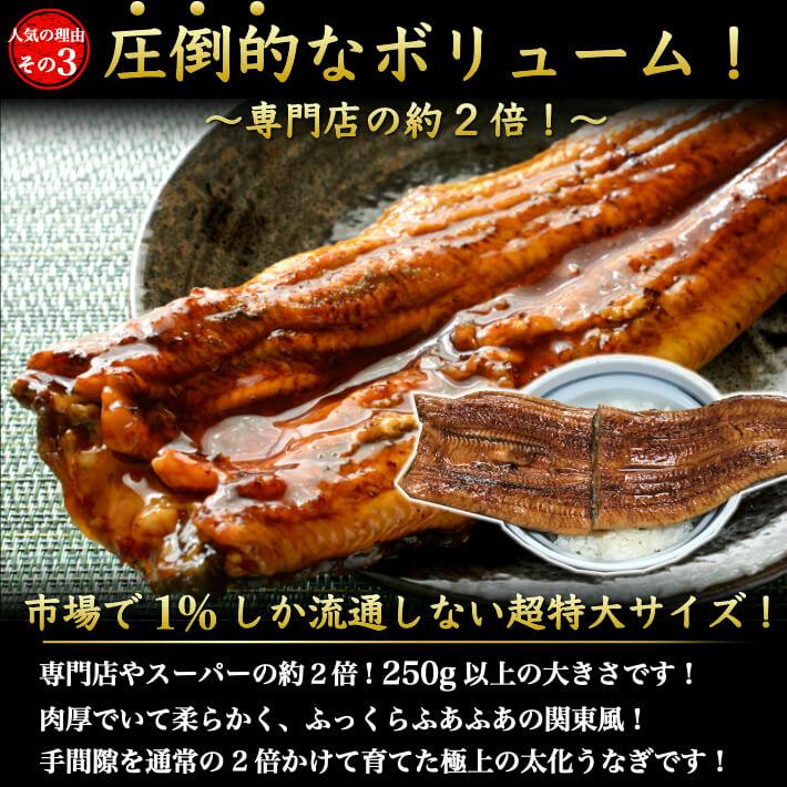 国産 うなぎ 蒲焼き 超特大 1尾 誕生日 プレゼント ギフト 贈答用 送料無料｜marin-online｜11