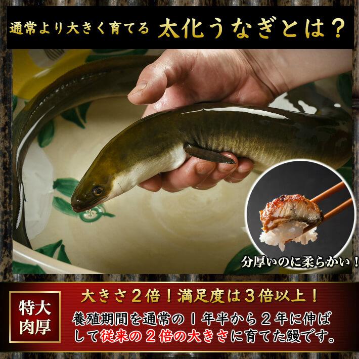 国産 うなぎ 蒲焼き 超特大 1尾 誕生日 プレゼント ギフト 贈答用 送料無料｜marin-online｜07