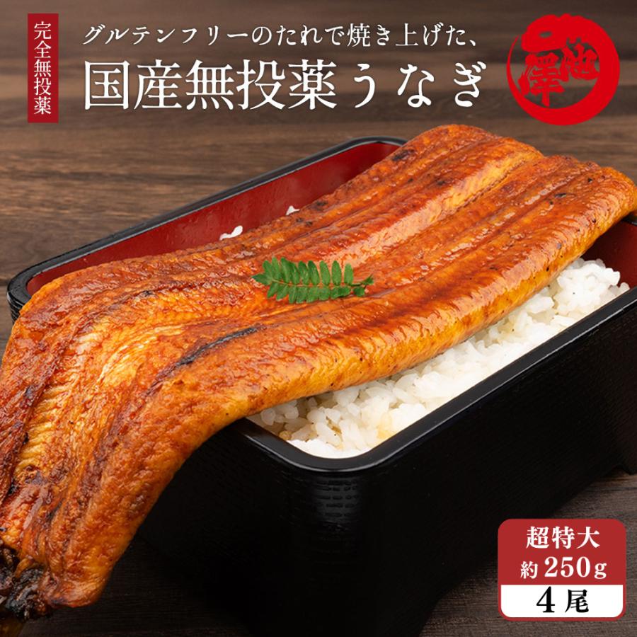 国産 うなぎ 蒲焼き 超特大 4尾 誕生日 プレゼント ギフト 贈答用 送料無料 格安販売中 国産 うなぎ 蒲焼き 超特大 4尾 誕生日 プレゼント ギフト 贈答用 送料無料 格安販売中