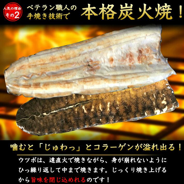 海鮮 珍味 うつぼのたたき ウツボ 600g以上 送料無料 高知 池澤鮮魚 秘伝のタレ付 ご贈答用 ギフト 土佐カツオとうなぎ通販 池澤鮮魚 通販 Yahoo ショッピング