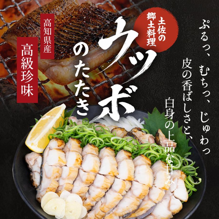 ウツボ うつぼのたたき 約600g 高知県産 海鮮 珍味 プレゼント ギフト