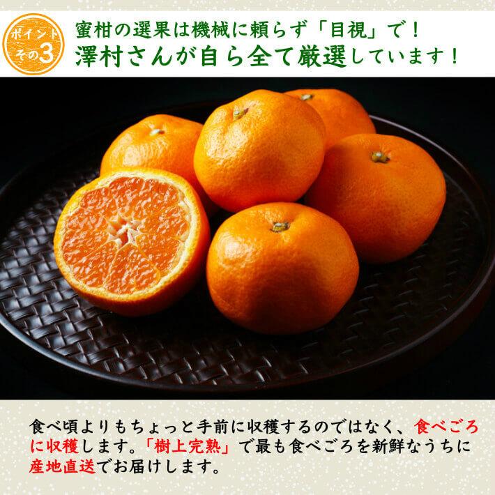 山北みかん 減農薬 優品 約3kg 生産者限定 温州みかん お歳暮 高知県産 :10000071:土佐カツオとうなぎ通販 池澤鮮魚 - 通販 - Yahoo!ショッピング 山北みかん 減農薬 優品 約3kg 生産者限定 温州みかん お歳暮 高知県産 :10000071:土佐カツオとうなぎ通販 池澤鮮魚 - 通販 - Yahoo!ショッピング