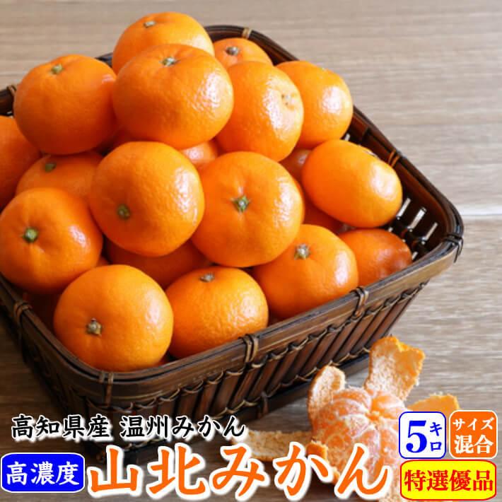 山北みかん 減農薬 優品 約5kg 生産者限定 温州みかん お歳暮 高知県産 