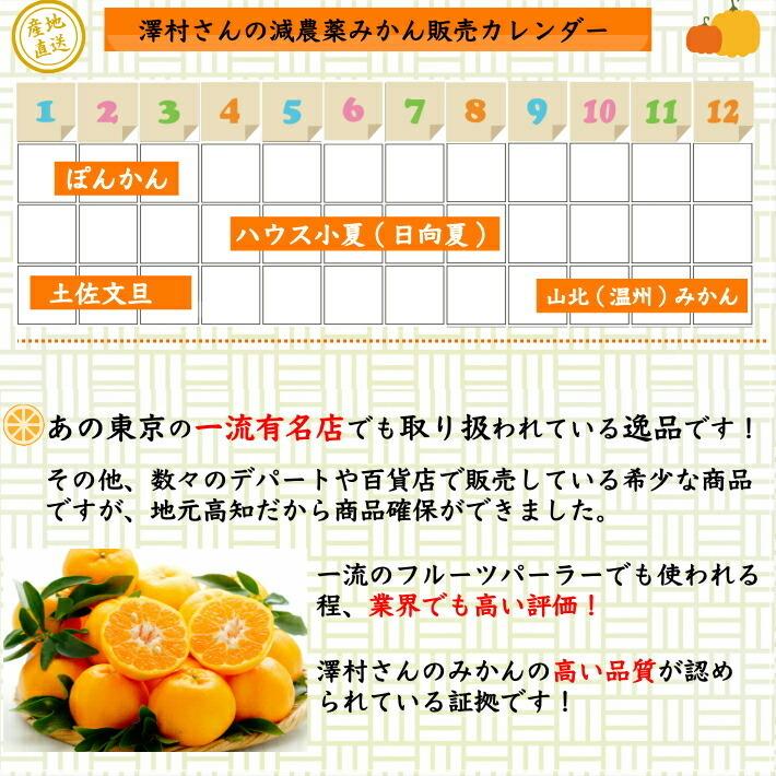 文旦　山北みかん　ポンカン　好きにも　11 2026年2月・高知産ぽんかん【約5キロ・家庭用上・2Lから3L】文旦一 果物