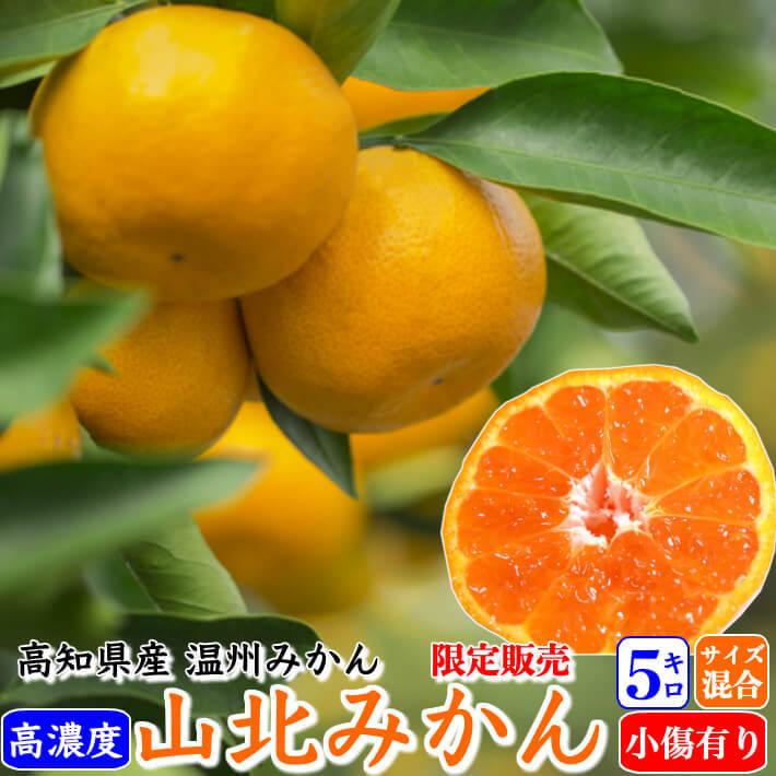 山北みかん 減農薬 訳あり 約5kg 生産者限定 温州みかん お歳暮 高知県 