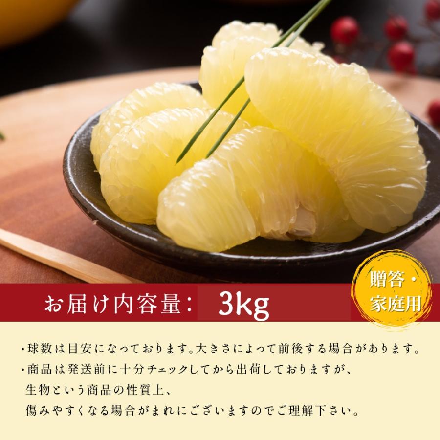 文旦 土佐文旦 糖度12度 高知県産 減農薬 約3kg 贈答・家庭用 2L 文旦 土佐文旦 糖度12度 高知県産 減農薬 約3kg 贈答・家庭用 2L