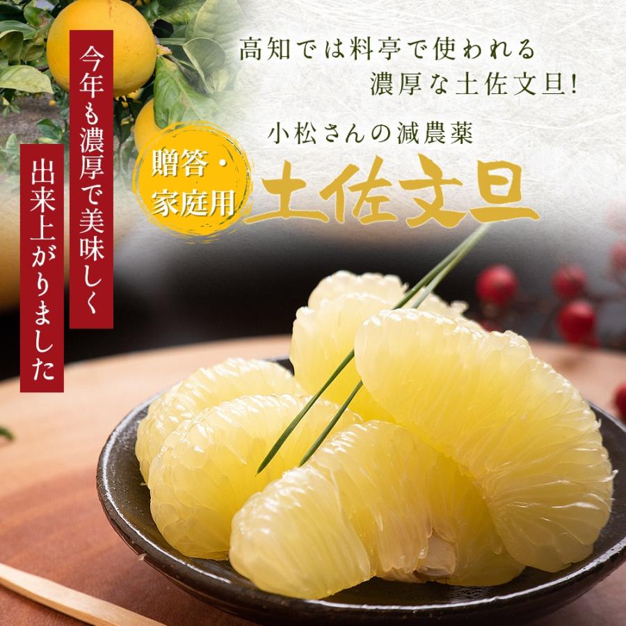 文旦 土佐文旦 糖度12度 高知県産 減農薬 約3kg 贈答・家庭用 2L 文旦 土佐文旦 糖度12度 高知県産 減農薬 約3kg 贈答・家庭用 2L