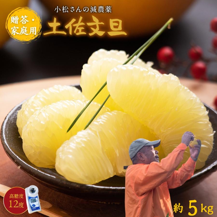 文旦 土佐文旦 糖度12度 高知県産 減農薬 約5kg 贈答・家庭用 2L-L