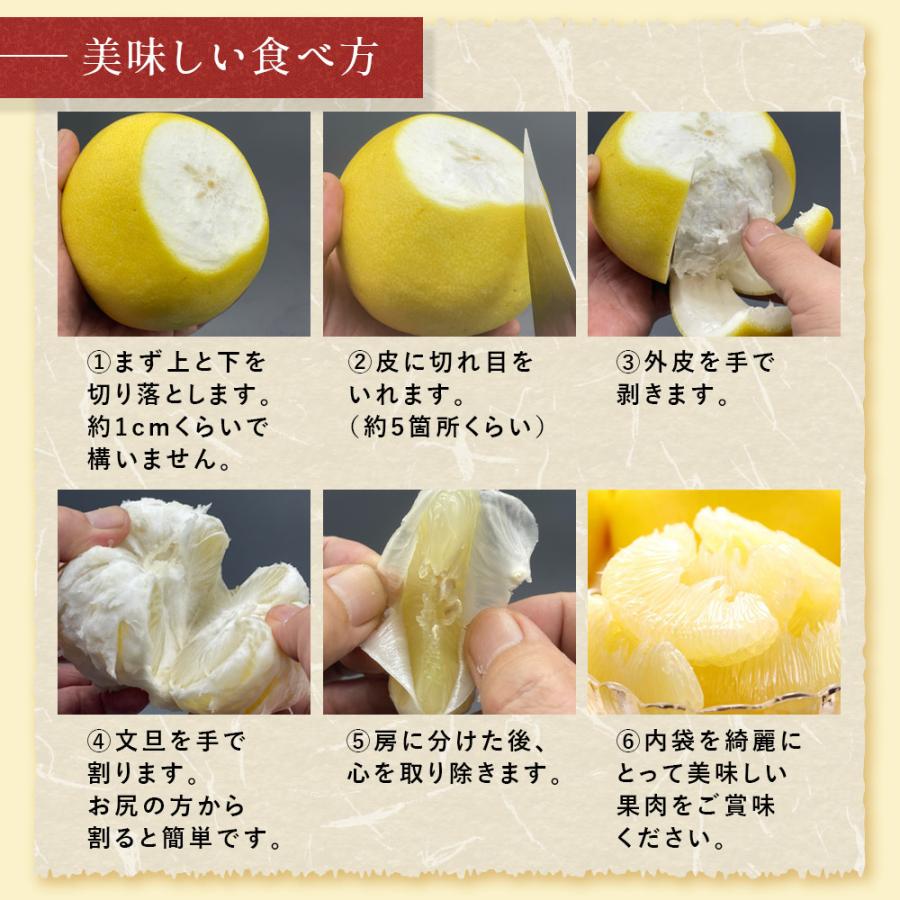 文旦 土佐文旦 糖度12度 高知県産 減農薬 約5kg 贈答・家庭用 2L-L