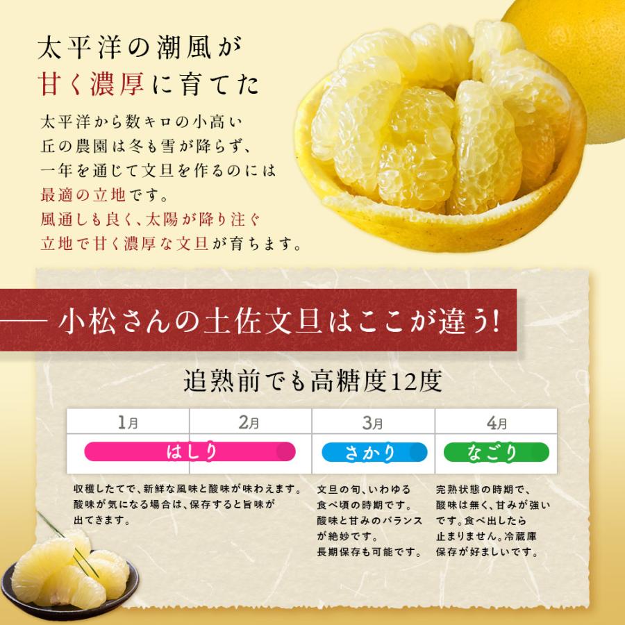 文旦 土佐文旦 糖度12度 高知県産 減農薬 約5kg 家庭用 訳あり 文旦 土佐文旦 糖度12度 高知県産 減農薬 約5kg 家庭用 訳あり