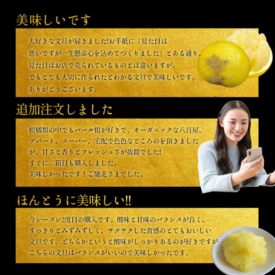 文旦 土佐文旦 糖度12度 高知県産 減農薬 約10kg 家庭用 訳あり 2L-L