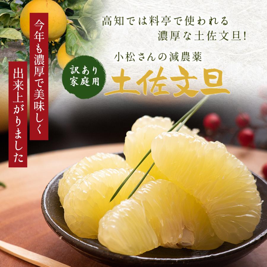 文旦 土佐文旦 糖度12度 高知県産 減農薬 約10kg 家庭用 訳あり 文旦 土佐文旦 糖度12度 高知県産 減農薬 約10kg 家庭用 訳あり