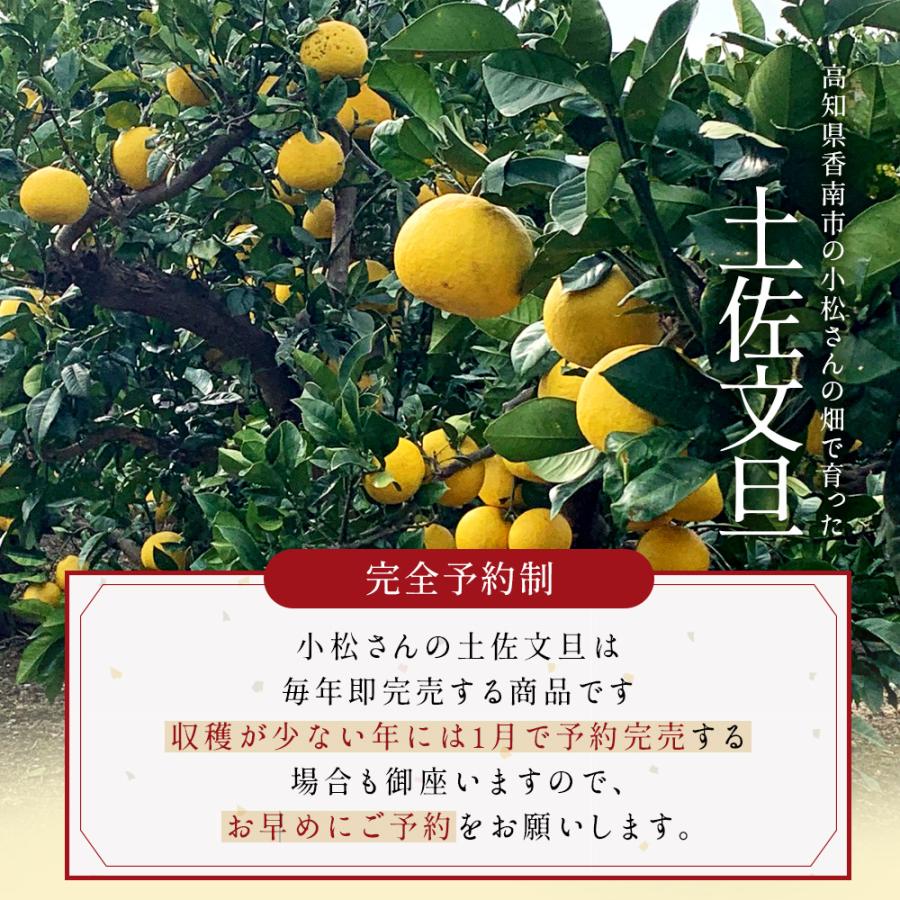 文旦 土佐文旦 糖度12度 高知県産 減農薬 約10kg 家庭用 訳あり 2L-L