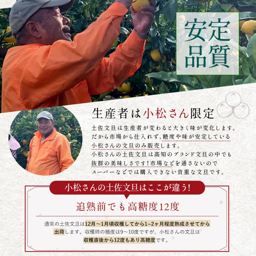 文旦 土佐文旦 糖度12度 高知県産 減農薬 約10kg 家庭用 訳あり 2L-L
