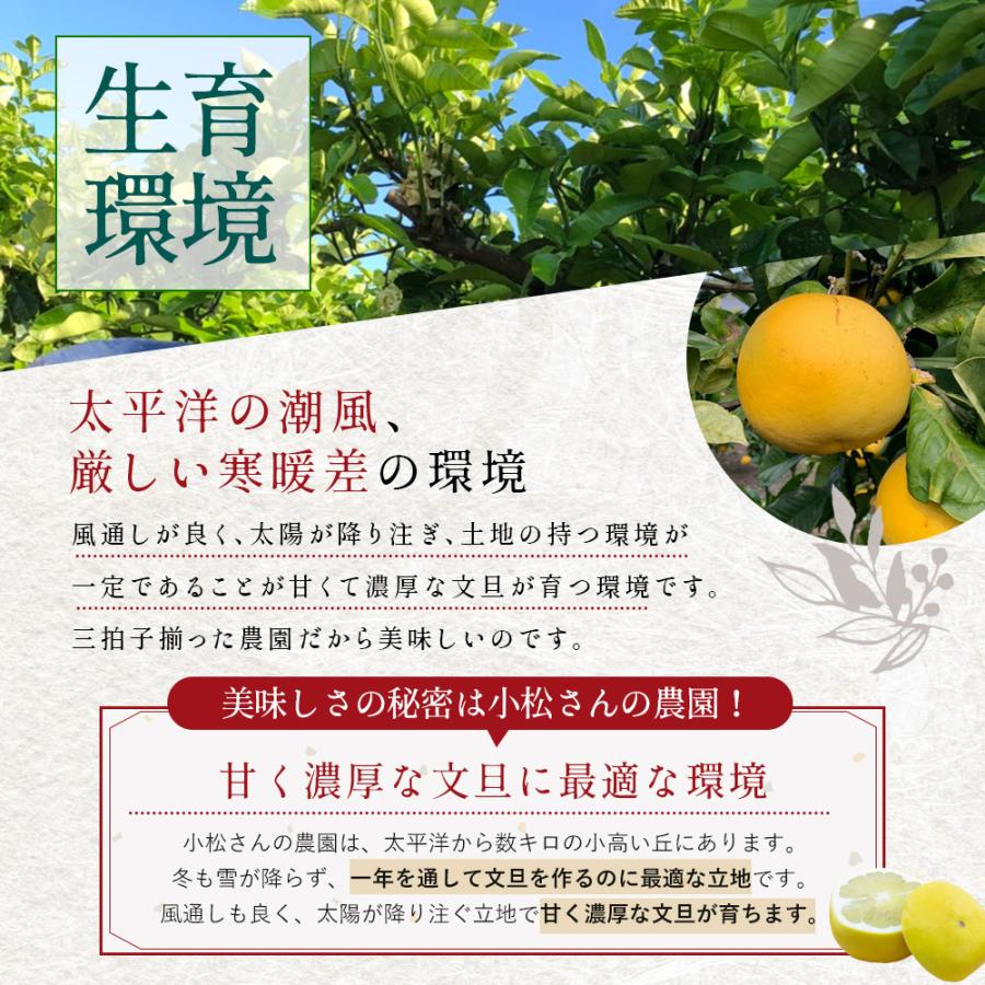 文旦 土佐文旦 糖度12度 高知県産 減農薬 約10kg 家庭用 訳あり 2L-L