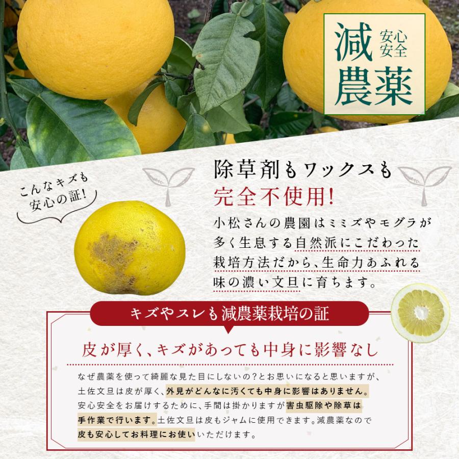 文旦 土佐文旦 糖度12度 高知県産 減農薬 約10kg 家庭用 訳あり 文旦 土佐文旦 糖度12度 高知県産 減農薬 約10kg 家庭用 訳あり