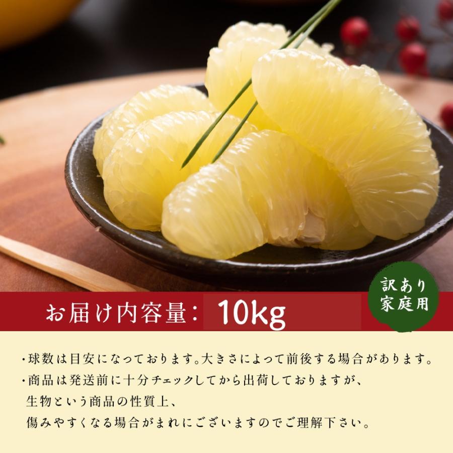 文旦 土佐文旦 高知県産 減農薬 約10kg 中玉 小玉 お徳用 家庭用 文旦 土佐文旦 高知県産 減農薬 約10kg 中玉 小玉 お徳用 家庭用