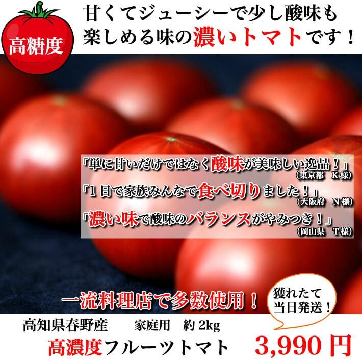 高知県春野産 高濃度 フルーツトマト 約2kg クール便 家庭用 高糖度 お取り寄せ 収穫当日発送 100日トマト 送料無料 土佐カツオとうなぎ通販 池澤鮮魚 通販 Yahoo ショッピング